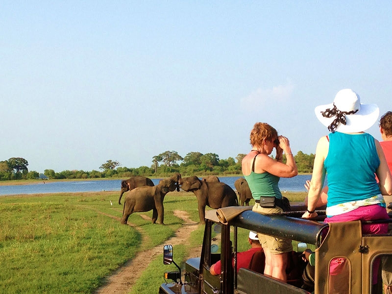 Minneriya National Park