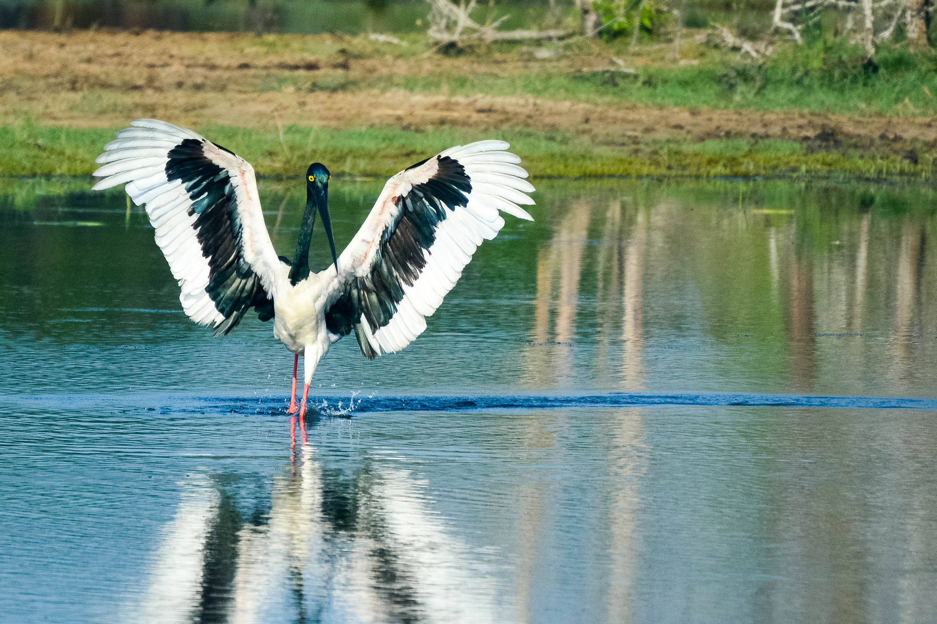 Kumana National Park