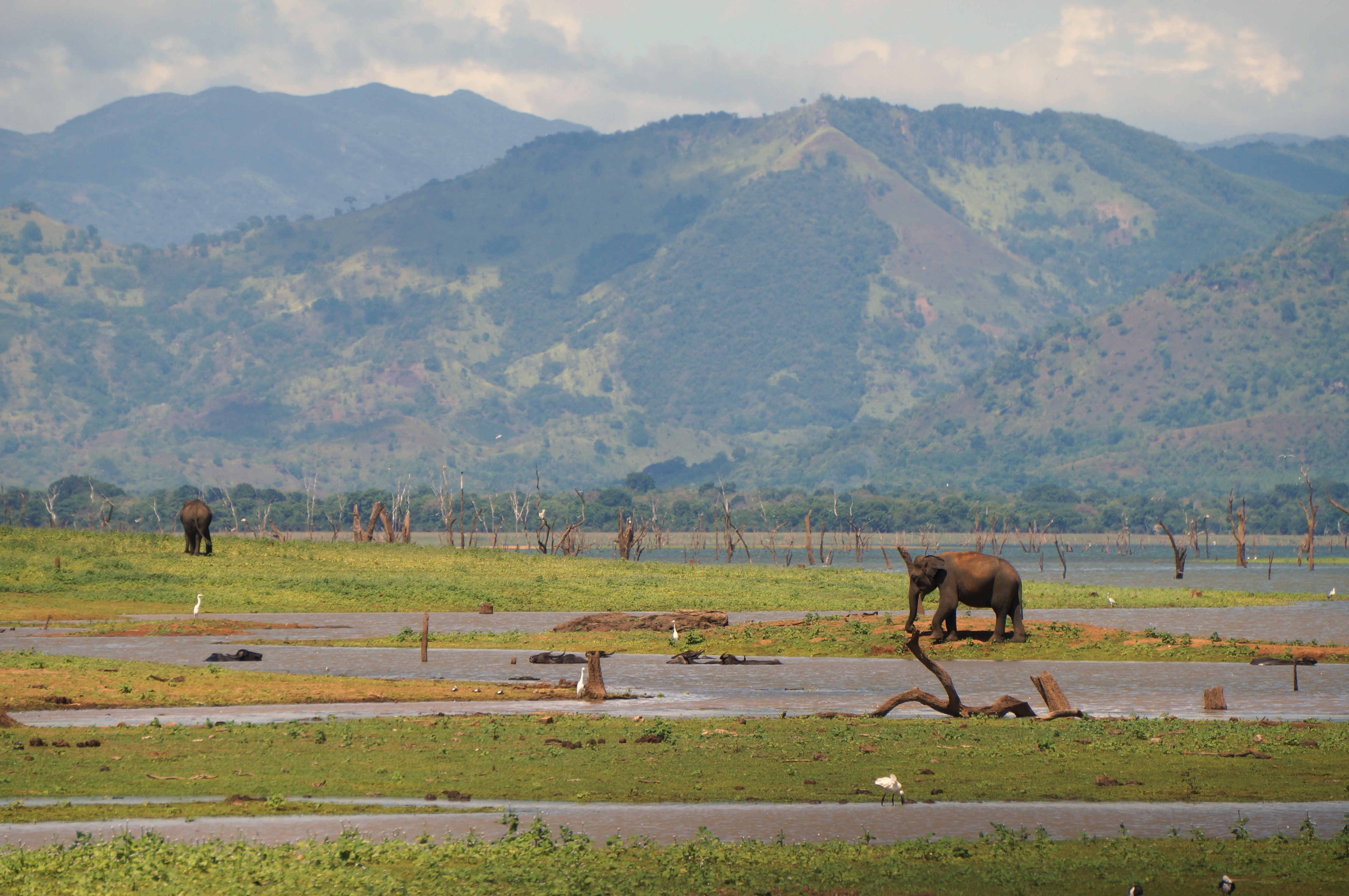 Udawalawe National Park