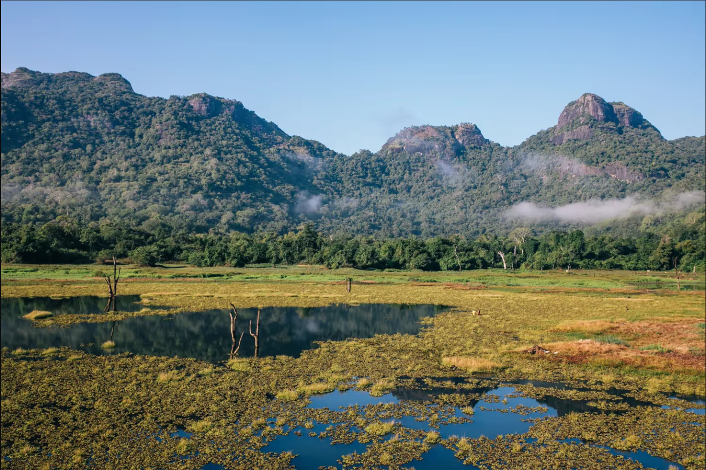 Gal Oya National Park