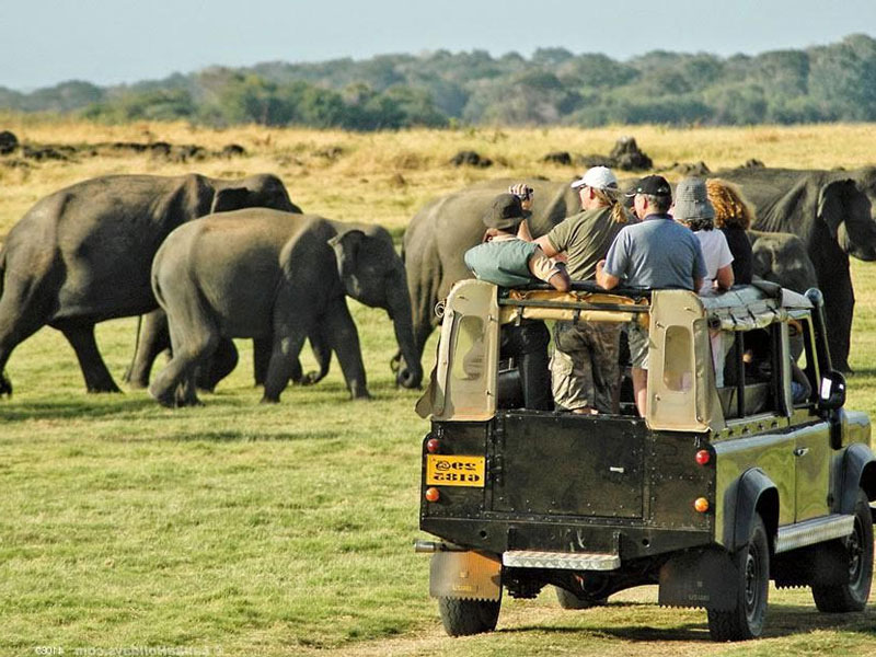 Kaudulla National Park